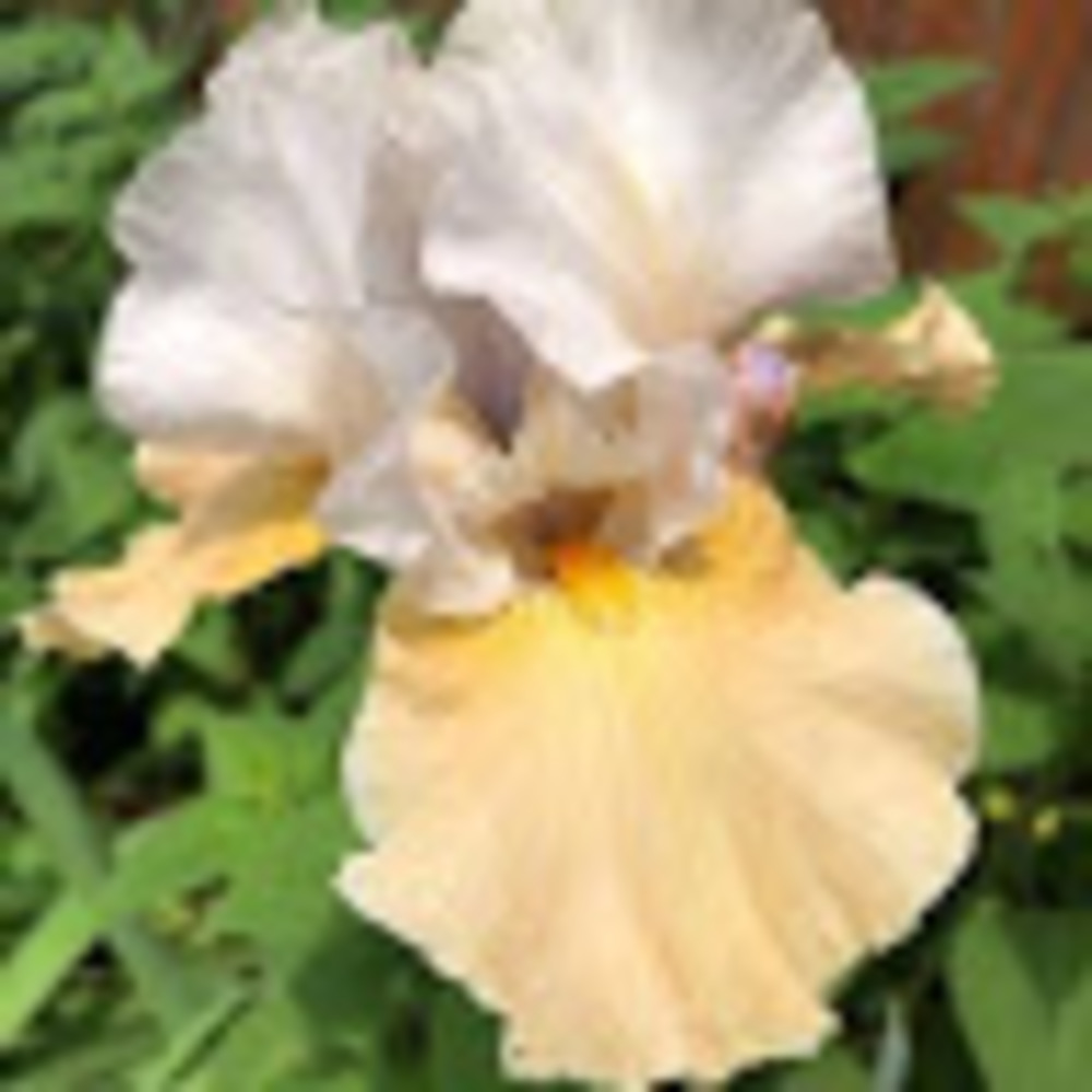 Meet your Posher, Mary c.